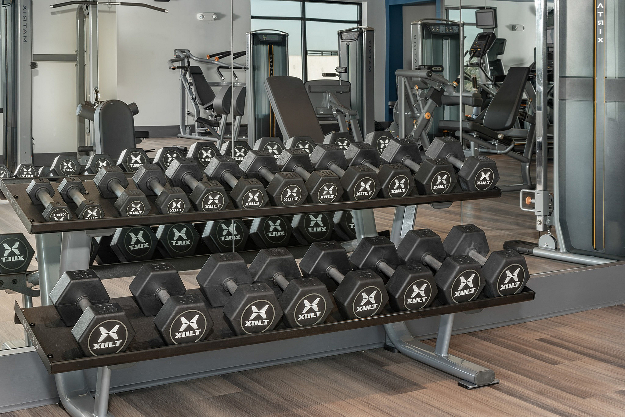 Modern gym facility showcasing a variety of free weights and state-of-the-art exercise machines for a comprehensive workout experience.