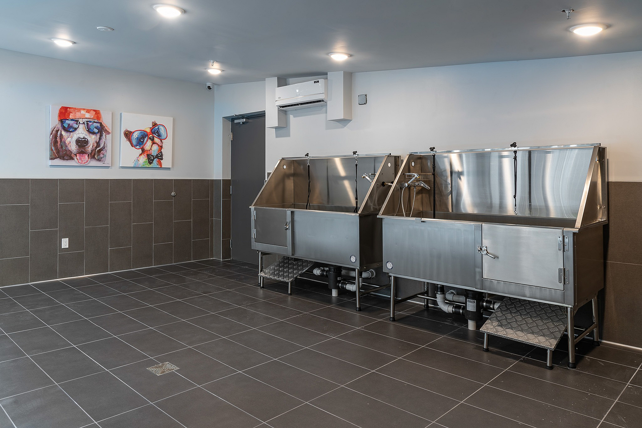 Modern pet washing station with sleek stainless steel tubs and chic tile flooring, complemented by quirky dog artwork on the walls.
