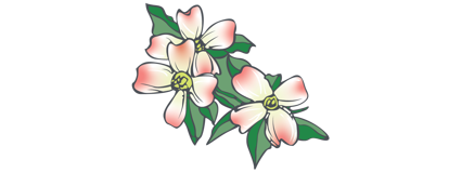 drawn pink flowers with leaves