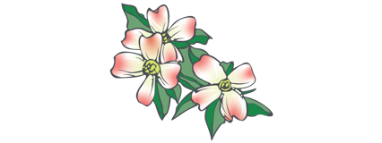 drawn pink flowers with green leaves behind them