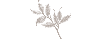 Retreat brown leaf logo
