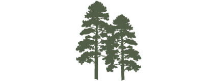 drawing of two green trees next side by side