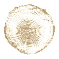 Tree trunk graphic