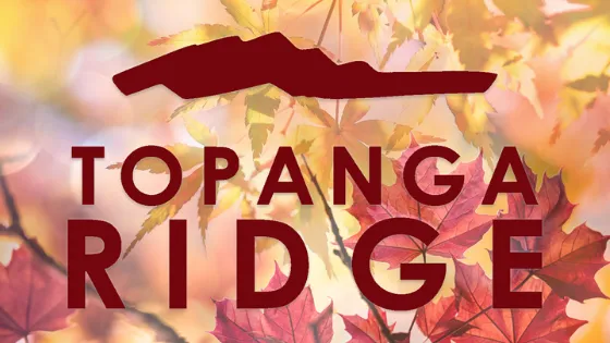 A New Season-image