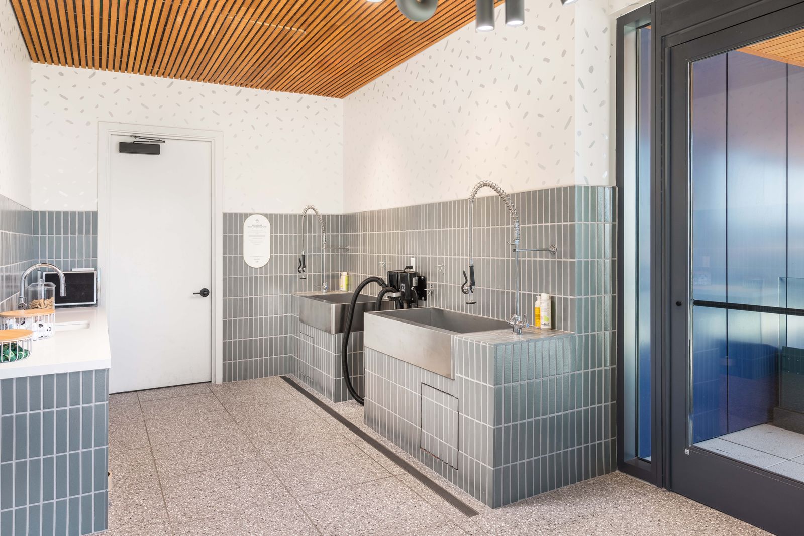 Dog-washing station