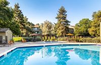 Inviting outdoor swimming pool surrounded by lush greenery and comfortable seating, perfect for relaxation and leisure.