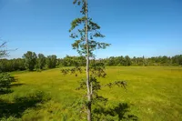 Wetlands and green space views available