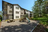 A forested playground by Alder Creek