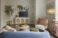 Living area with a blue sofa, wooden coffee table, TV console, bar cart, and decorative plants.