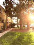 Beautiful Natural Light