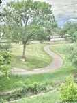 Serene view of a lush green landscape with a winding path, towering tree, and charming home in the distance.