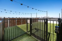 Vibrant rooftop dog park with city skyline views, featuring open play areas and a chic ambiance.