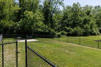 Fenced In Bark Park