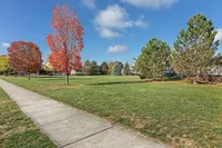 Charming neighborhood view with vibrant autumn trees lining a peaceful walkway under a clear blue sky.