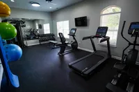 Modern fitness room featuring treadmills, exercise bikes, colorful workout balls, and ample natural light from large windows.