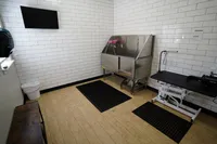 Modern grooming station with sleek stainless steel tub, tiled walls, and flat-screen TV, providing a clean and professional environment.