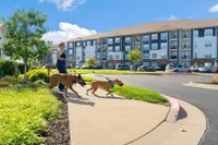 Our pet policy welcomes dogs of all breeds and sizes with plenty of pet-friendly amenities.