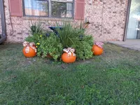 Fall