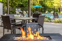 Spacious Picnic Area and Community Fire Pit
