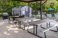 Spacious Picnic Area