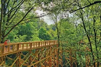 Metro Park Pic