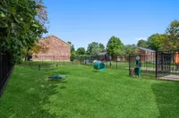 Bark Park