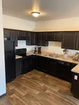 Contemporary kitchen with elegant dark wood cabinets, modern appliances, and sleek countertops, perfect for culinary enthusiasts.