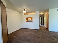 Cozy living area with plush carpeting, modern lighting, and a peek into a warm kitchen with wood accents.