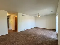 Spacious living room with plush brown carpeting and ample natural light, featuring a ceiling fan and neutral walls for versatile decorating options.
