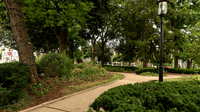 Enjoy the heart of Morristown at the beautiful Morristown Green park!