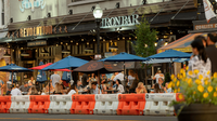 Experience the vibrant charm of Downtown Morristown! With its mix of historic landmarks, trendy boutiques, delicious dining spots, and lively cultural scene, there’s always something to explore.
