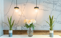 Experience premium living in our clubhouse lounge, perfect for relaxation and entertainment. Chic and modern interior with elegant pendant lights, vibrant snake plants, and a bouquet of soft white flowers in a glass vase against a stylish map-themed wall.