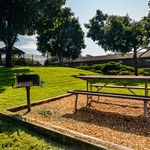Inviting outdoor picnic area with a barbecue grill surrounded by lush greenery and shaded by mature trees.