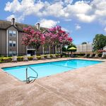 Charming apartment complex featuring a refreshing outdoor pool surrounded by blooming pink trees and lounge chairs, perfect for relaxation and outdoor enjoyment.