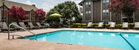 Inviting apartment community pool with sun loungers, vibrant landscaping, and modern buildings in the background.