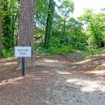 Inviting nature trail with lush greenery and a welcoming sign, perfect for outdoor enthusiasts.