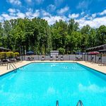 Inviting outdoor pool surrounded by lush trees, offering a serene and refreshing escape.