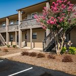 Charming apartment building with vibrant flowering tree, featuring cozy balconies and inviting outdoor space.