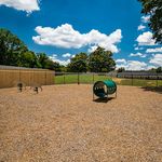 Inviting outdoor dog park with agility equipment under a bright blue sky, perfect for pet-friendly communities.