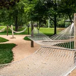 Tranquil outdoor setting with multiple hammocks under lush green trees, perfect for relaxation in a serene park atmosphere.