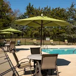 Inviting outdoor pool area with green umbrellas and comfortable seating, perfect for relaxation and leisure.