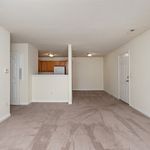 Bright open-concept living area with plush carpet and adjacent kitchen, ideal for modern living.