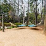 Serene outdoor space featuring inviting hammocks under a canopy of lush trees, perfect for relaxation and enjoying nature.