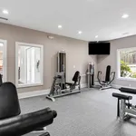 Bright and modern gym with sleek exercise equipment, large windows, and a wall-mounted TV, perfect for fitness enthusiasts.