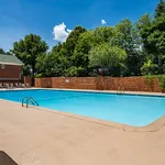 Inviting outdoor swimming pool surrounded by lush greenery and comfortable lounge chairs under a sunny blue sky.