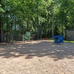 Inviting outdoor dog park set amidst lush greenery, featuring playful tunnels and exercise hoops for pet-friendly fun.