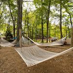 Serene outdoor space with multiple hammocks strung between trees, perfect for relaxation in a peaceful woodland setting.