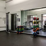 Modern fitness center with state-of-the-art equipment, vibrant medicine balls, and an array of colorful dumbbells, offering a dynamic workout space.