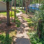 Charming pathway through lush greenery leading to a quiet residential area, highlighting serene outdoor living.
