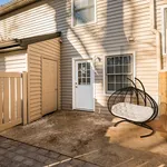 Backyard - Patio